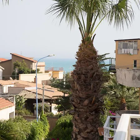 Corallina
